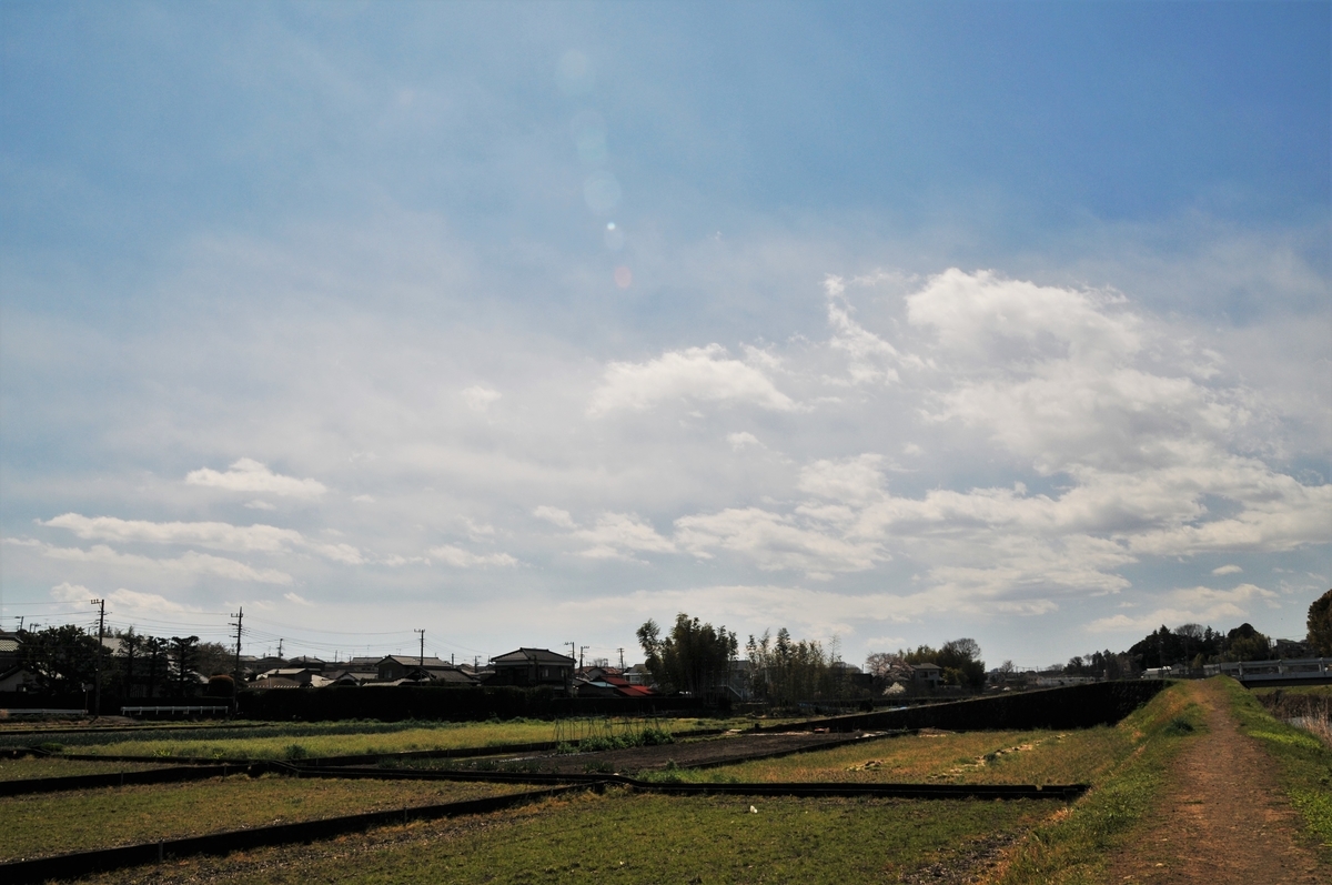 f:id:kumowasukidesuka:20200324223544j:plain