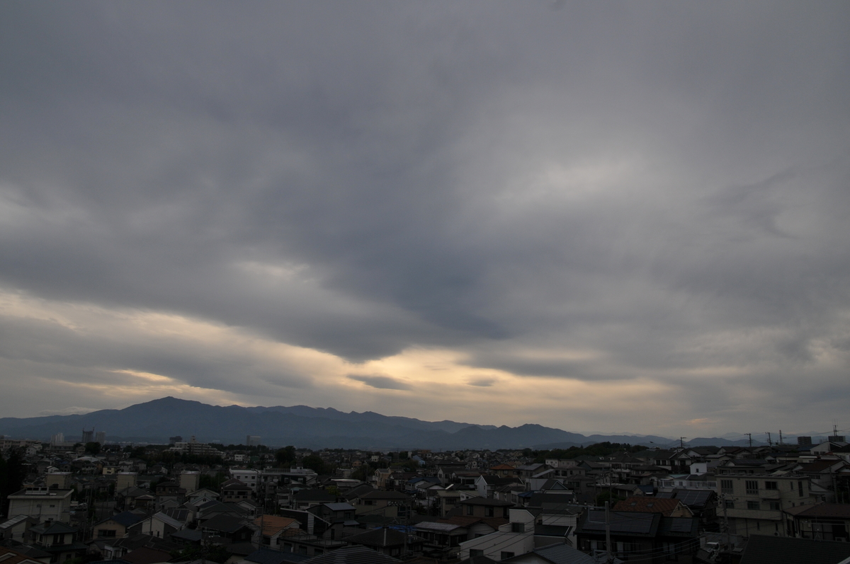 f:id:kumowasukidesuka:20200504111058j:plain f:id:kumowasukidesuka:20200504111058j:plain