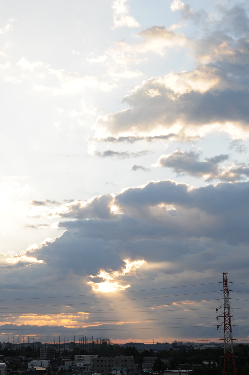 f:id:kumowasukidesuka:20200510205142j:plain f:id:kumowasukidesuka:20200510205142j:plain