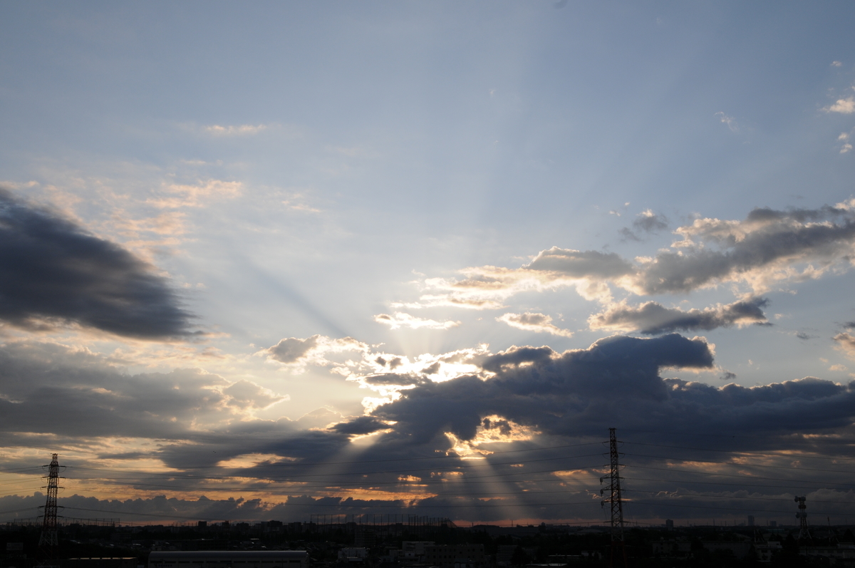 f:id:kumowasukidesuka:20200510205727j:plain f:id:kumowasukidesuka:20200510205727j:plain