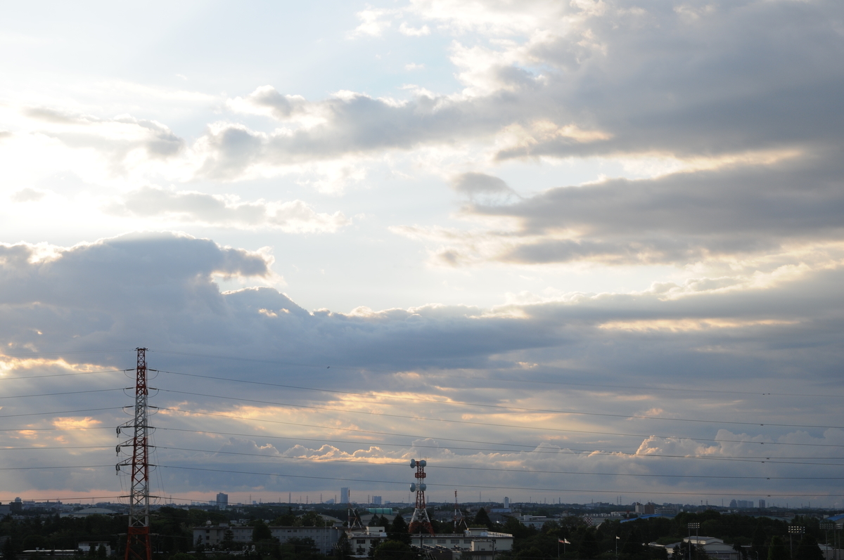 f:id:kumowasukidesuka:20200510213151j:plain f:id:kumowasukidesuka:20200510213151j:plain