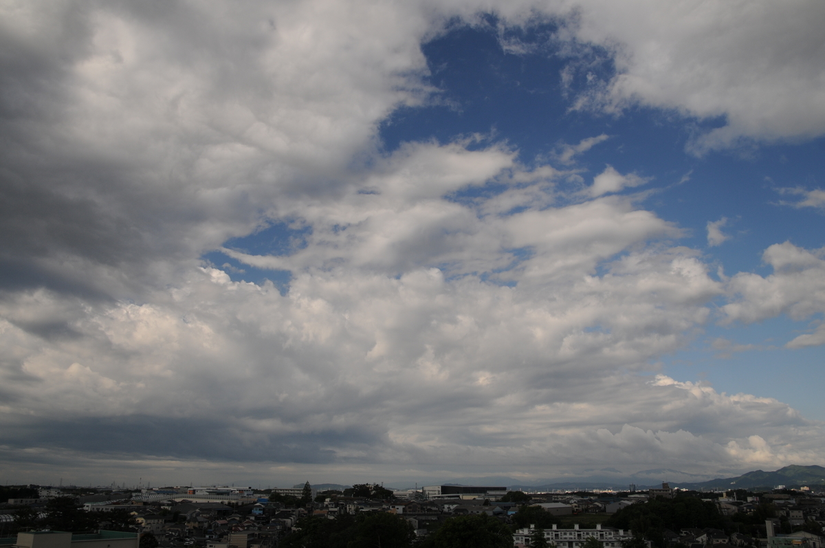 f:id:kumowasukidesuka:20200512212731j:plain f:id:kumowasukidesuka:20200512212731j:plain