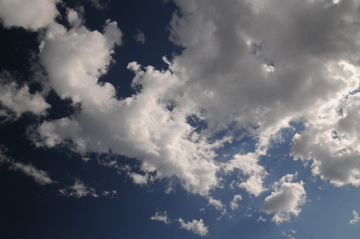 f:id:kumowasukidesuka:20200512220054j:plain f:id:kumowasukidesuka:20200512220054j:plain