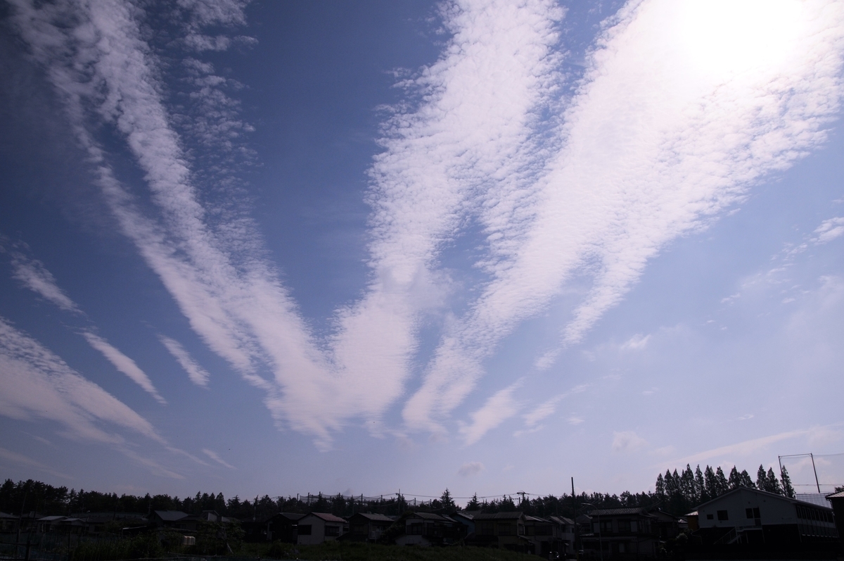 f:id:kumowasukidesuka:20200517131650j:plain