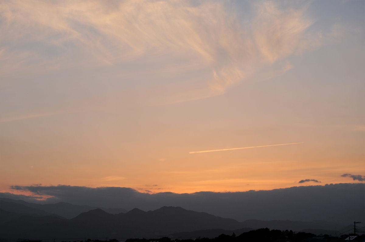 f:id:kumowasukidesuka:20200527212302j:plain f:id:kumowasukidesuka:20200527212302j:plain