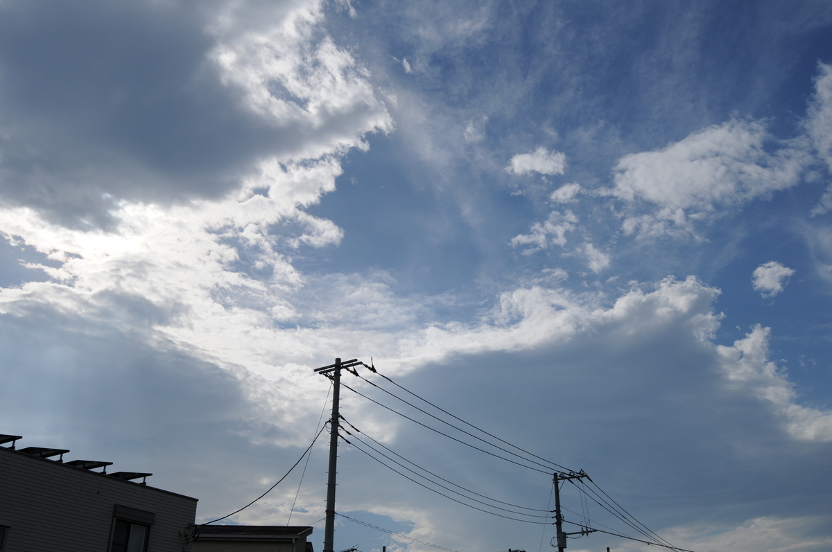 f:id:kumowasukidesuka:20200727210221j:plain