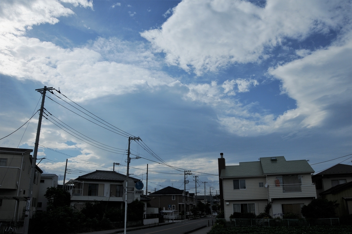 f:id:kumowasukidesuka:20200727210620j:plain