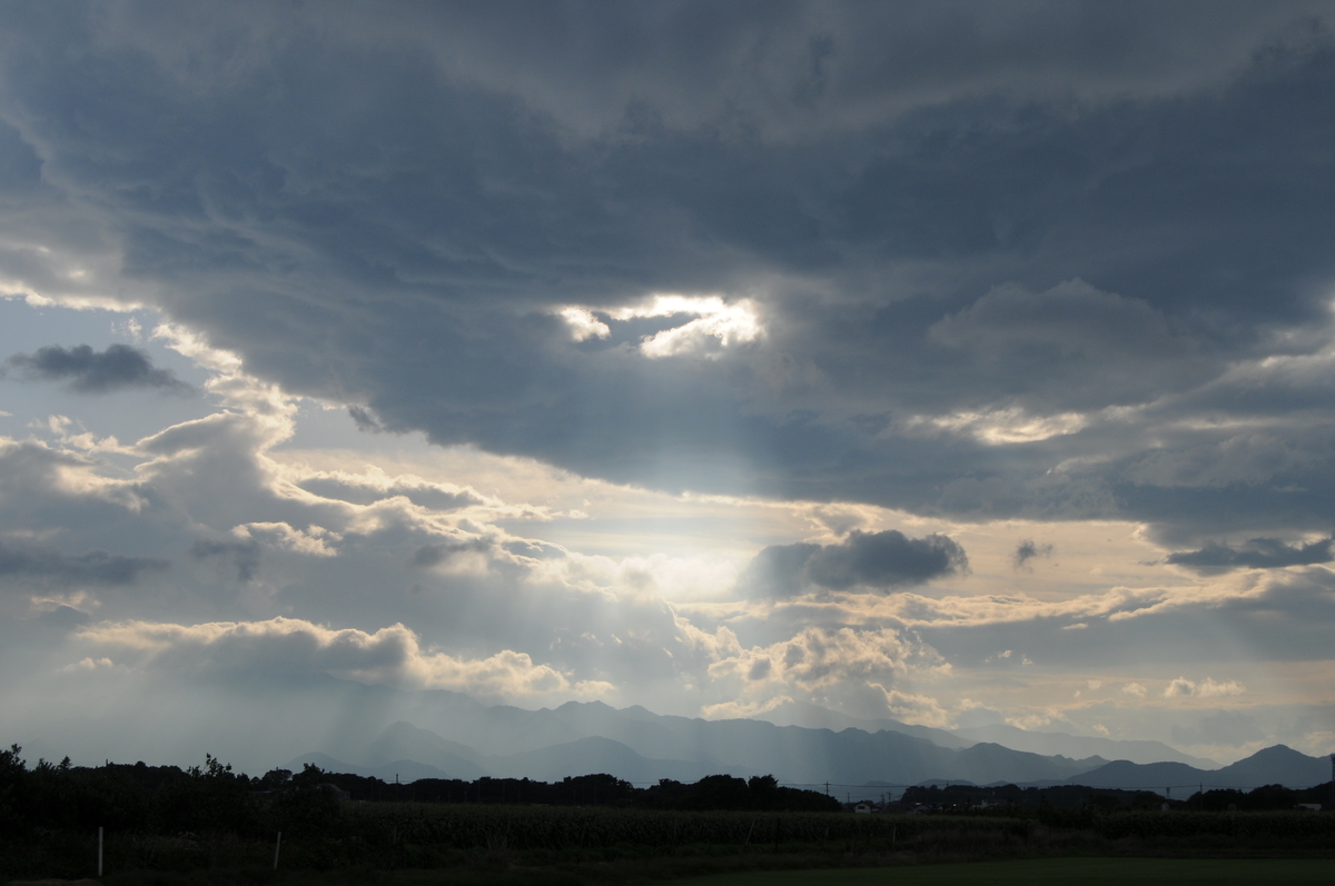 f:id:kumowasukidesuka:20200729212717j:plain