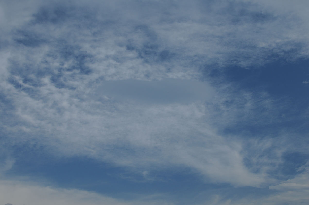 f:id:kumowasukidesuka:20200729213525j:plain