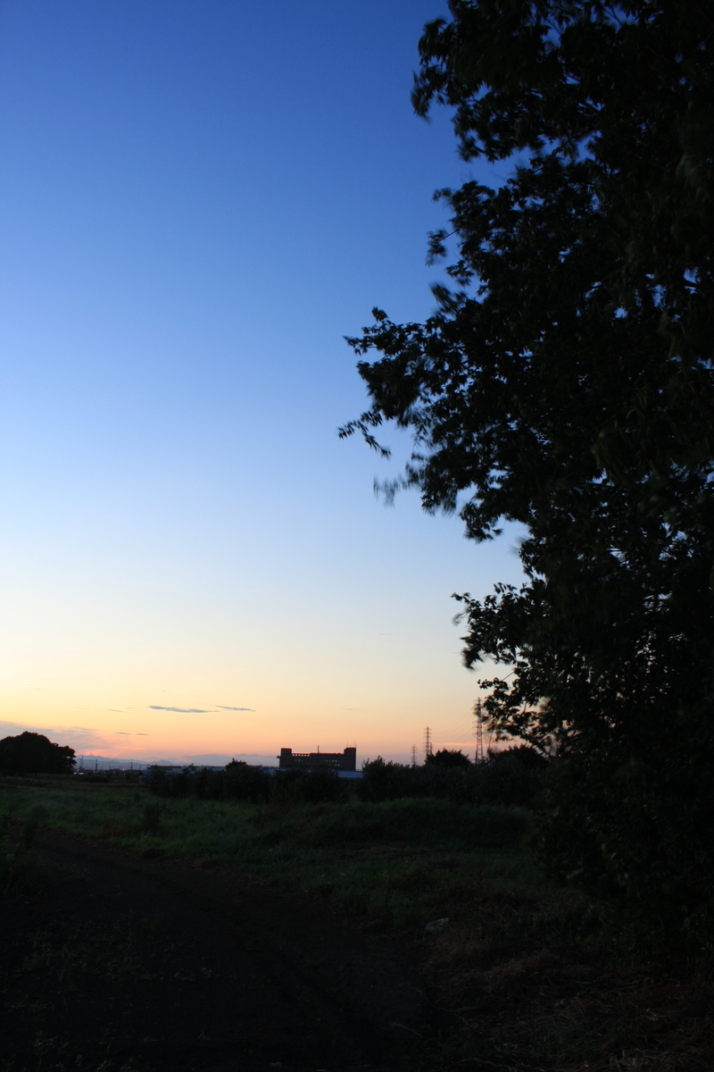 夕暮れ景色~その33②&🐕 - 雲は好きですか?
