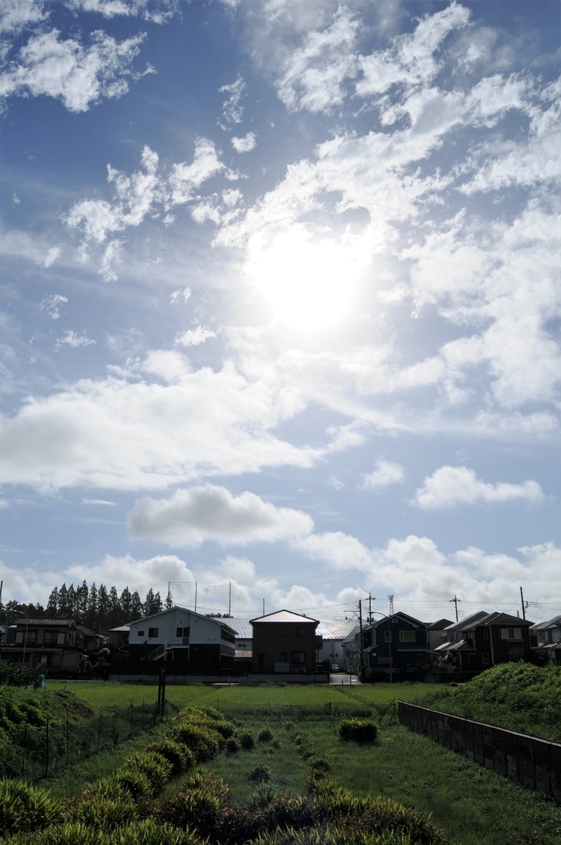 f:id:kumowasukidesuka:20200923205950j:plain