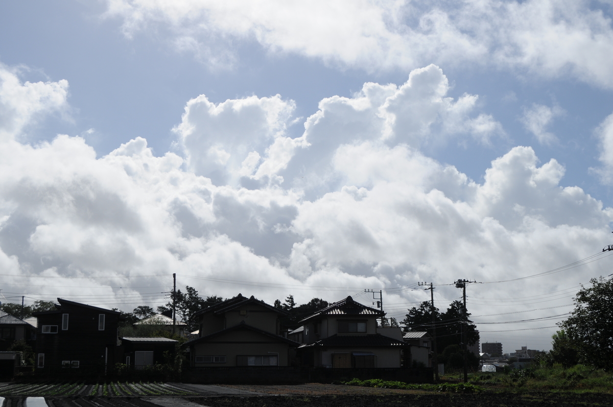 f:id:kumowasukidesuka:20200923210316j:plain