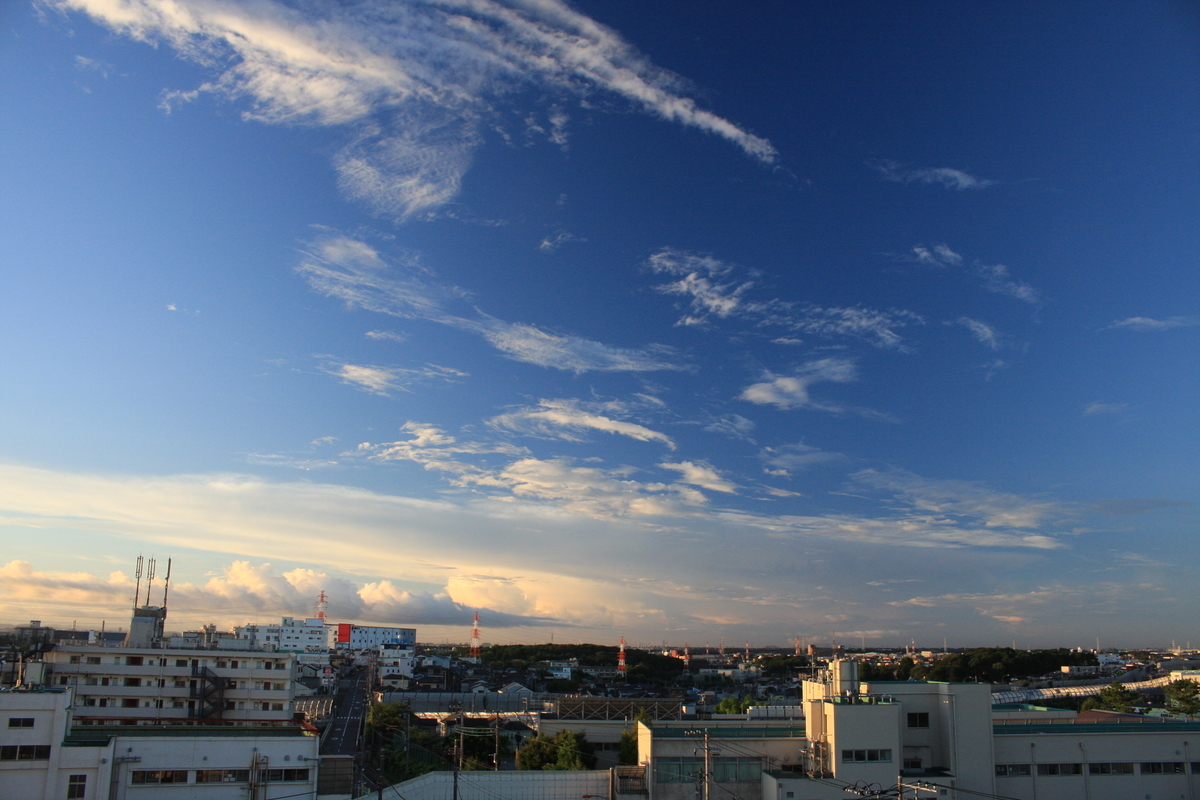 f:id:kumowasukidesuka:20201010105351j:plain