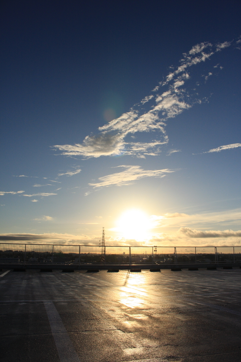 f:id:kumowasukidesuka:20201010110549j:plain