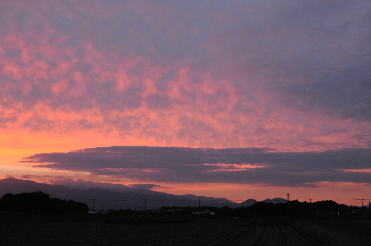 f:id:kumowasukidesuka:20201018205630j:plain