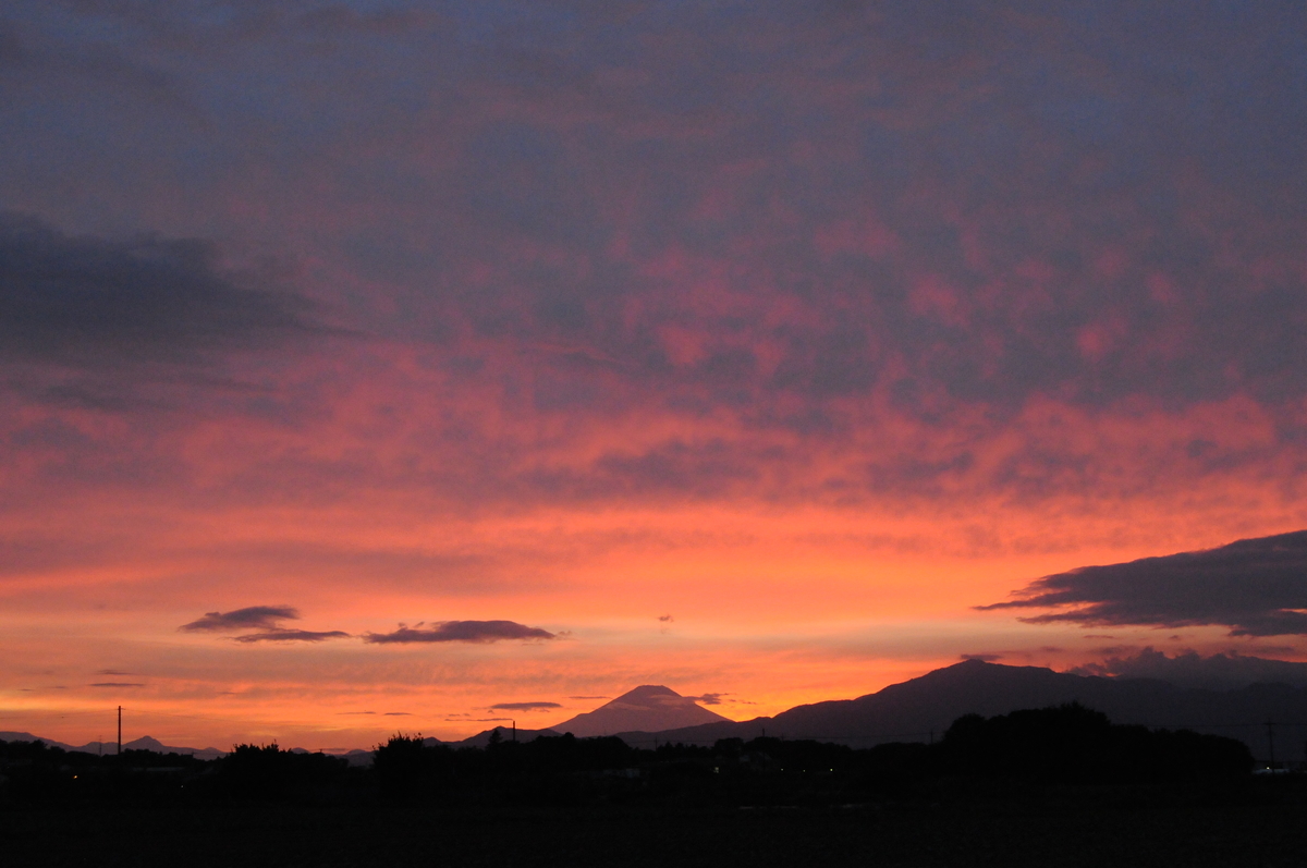 f:id:kumowasukidesuka:20201018205754j:plain