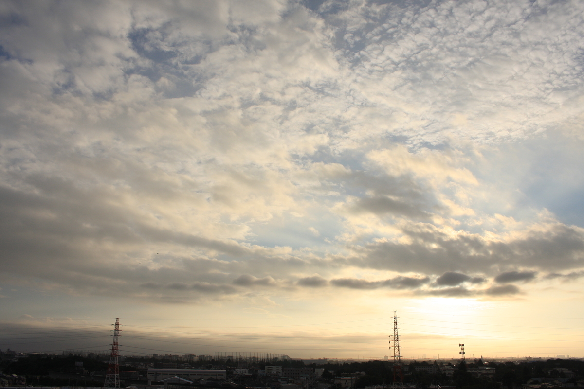f:id:kumowasukidesuka:20201023204323j:plain