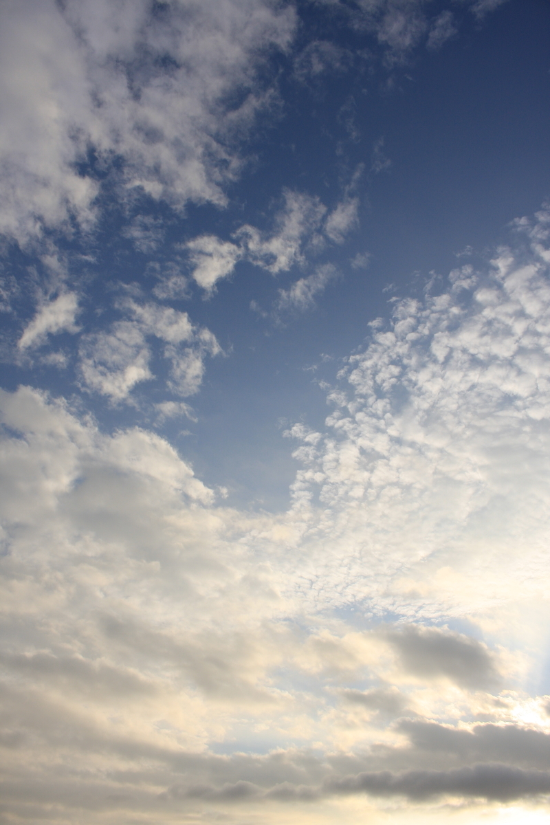 f:id:kumowasukidesuka:20201023204408j:plain