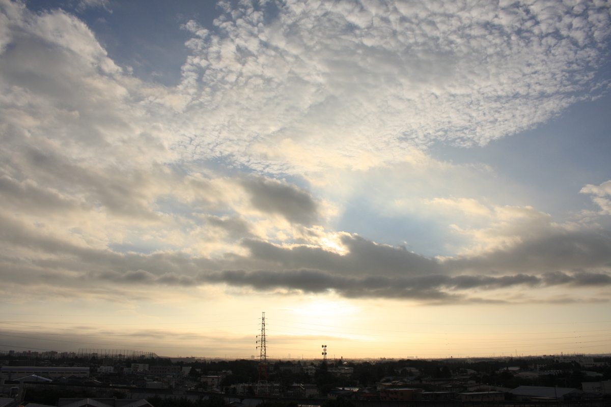 f:id:kumowasukidesuka:20201023204547j:plain