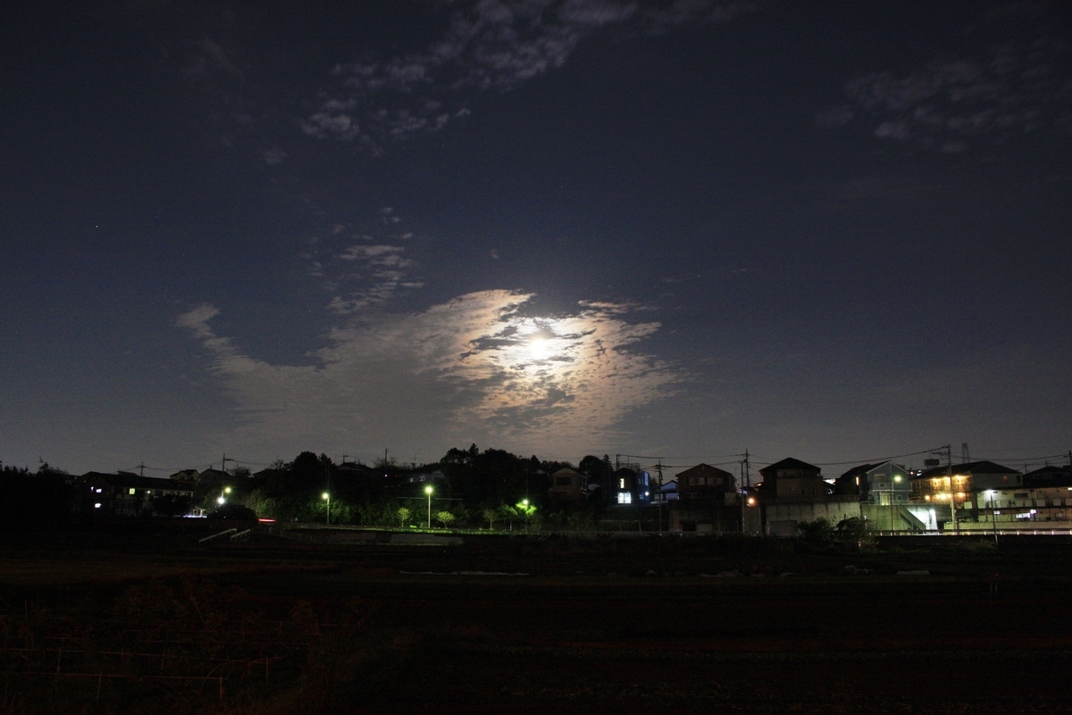 f:id:kumowasukidesuka:20201130212105j:plain