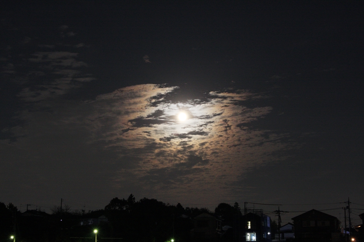 f:id:kumowasukidesuka:20201130212606j:plain
