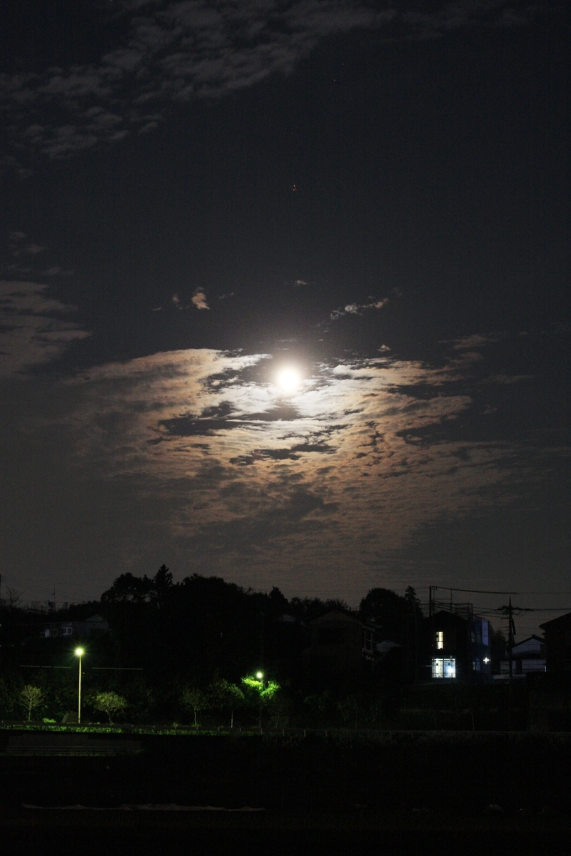 f:id:kumowasukidesuka:20201130212651j:plain