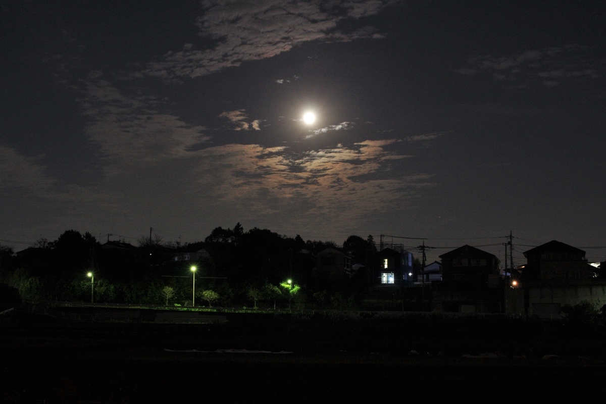f:id:kumowasukidesuka:20201130212734j:plain