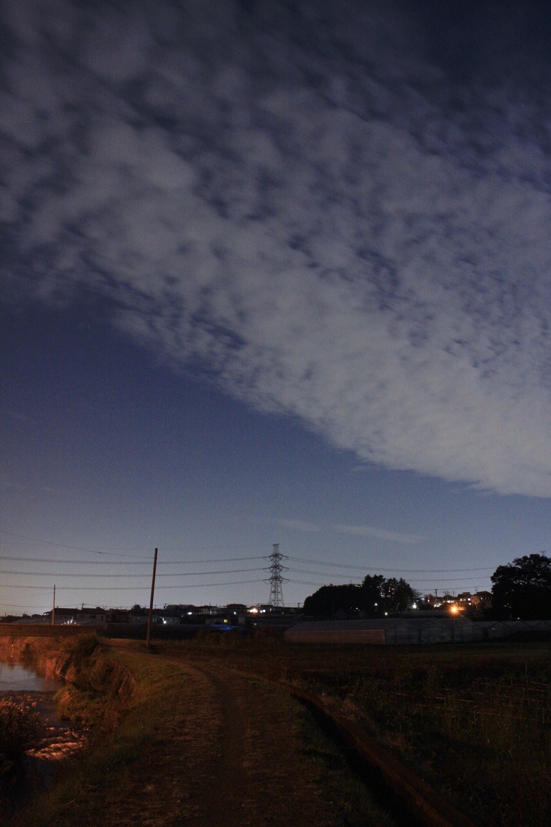 f:id:kumowasukidesuka:20201130212842j:plain