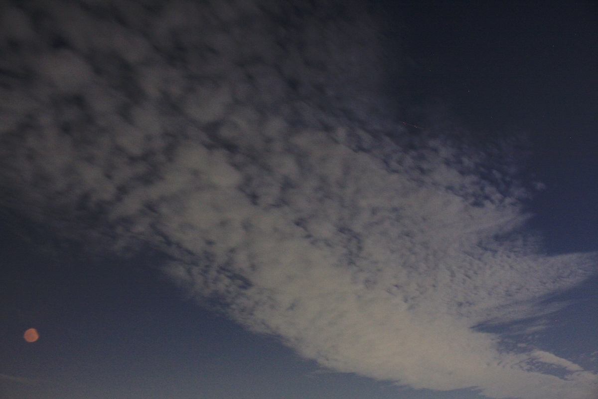 f:id:kumowasukidesuka:20201130212919j:plain