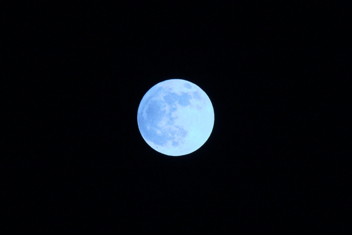 f:id:kumowasukidesuka:20201130212958j:plain
