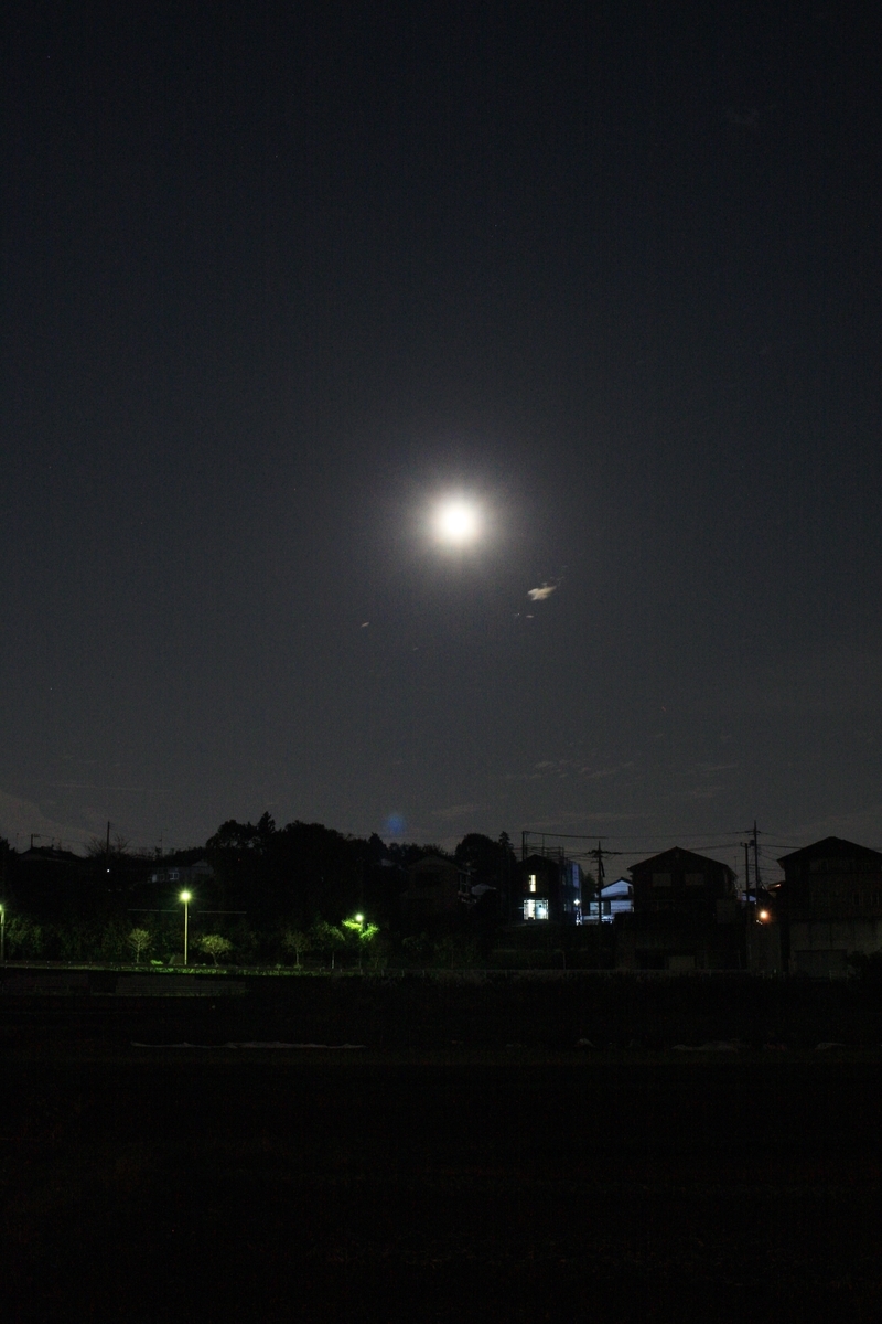 f:id:kumowasukidesuka:20201130213021j:plain