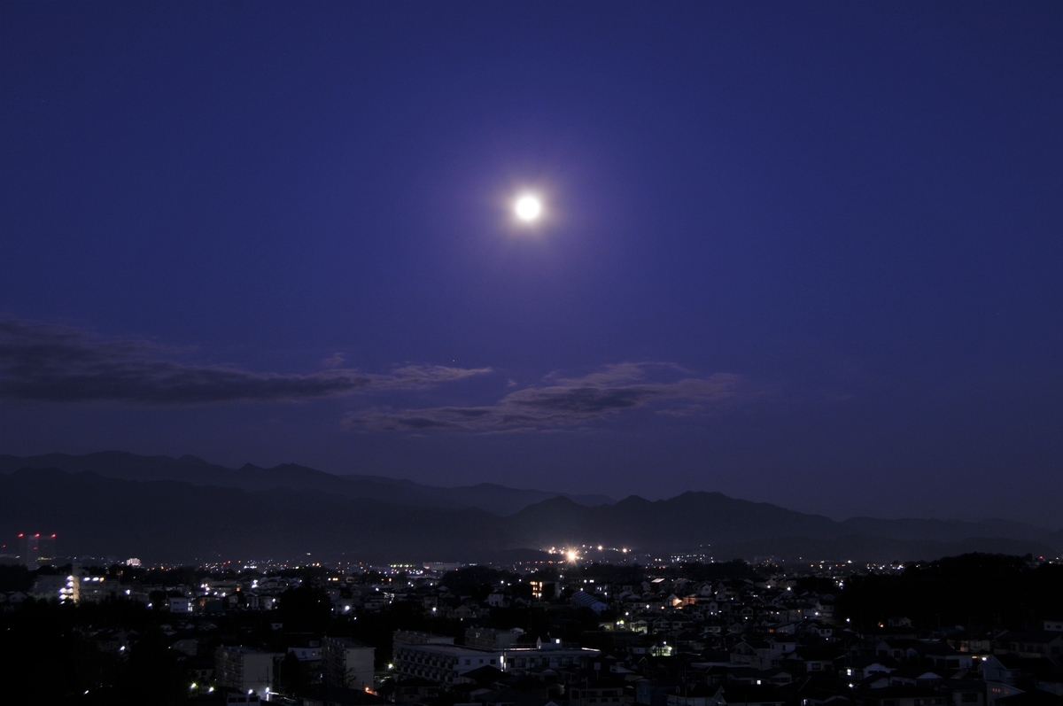 f:id:kumowasukidesuka:20201202100904j:plain