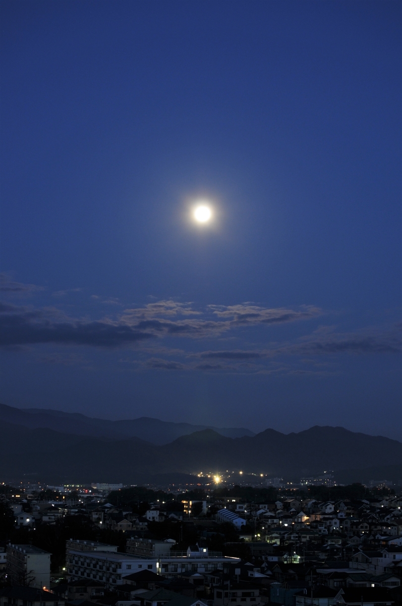 f:id:kumowasukidesuka:20201202101127j:plain