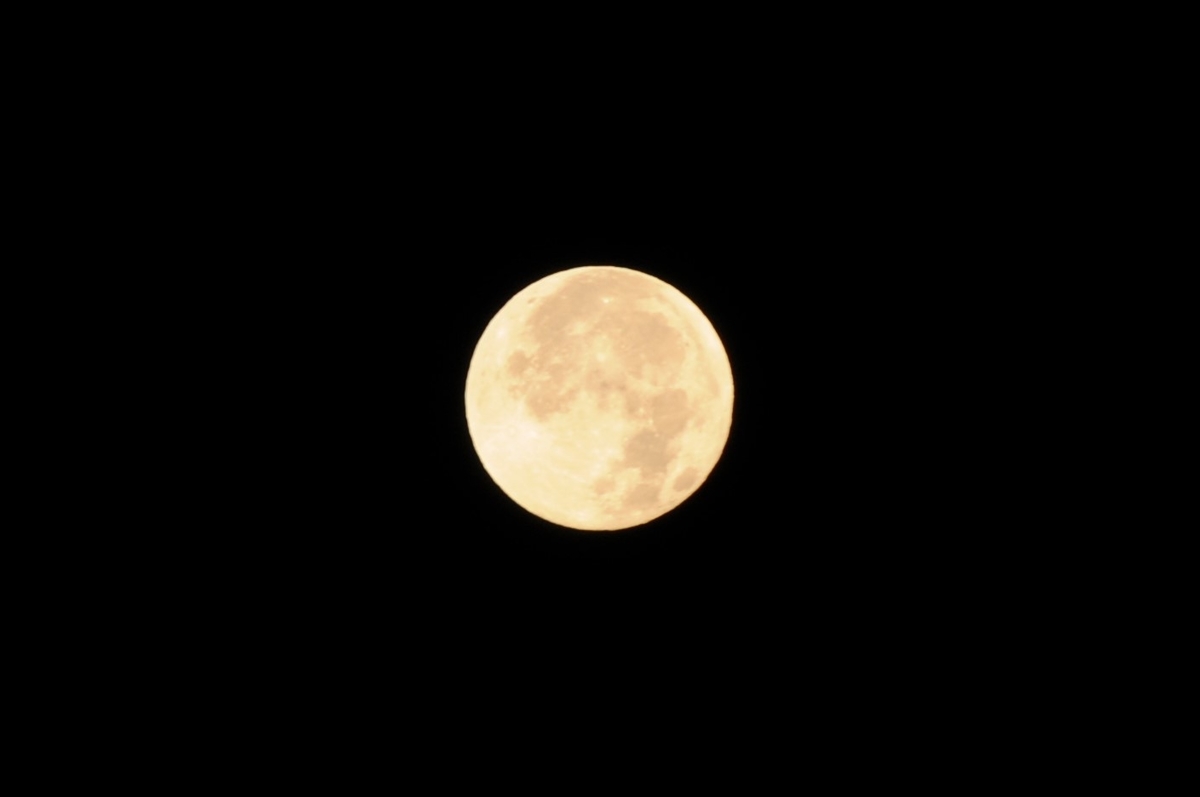 f:id:kumowasukidesuka:20201202101241j:plain