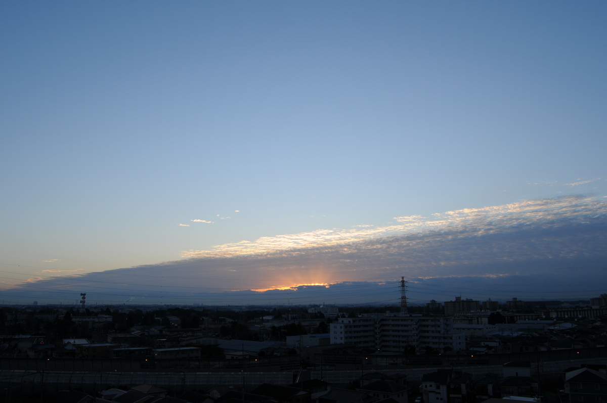 f:id:kumowasukidesuka:20201202101618j:plain