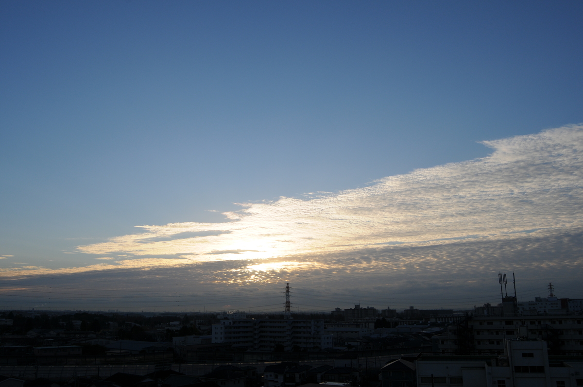 f:id:kumowasukidesuka:20201202101841j:plain