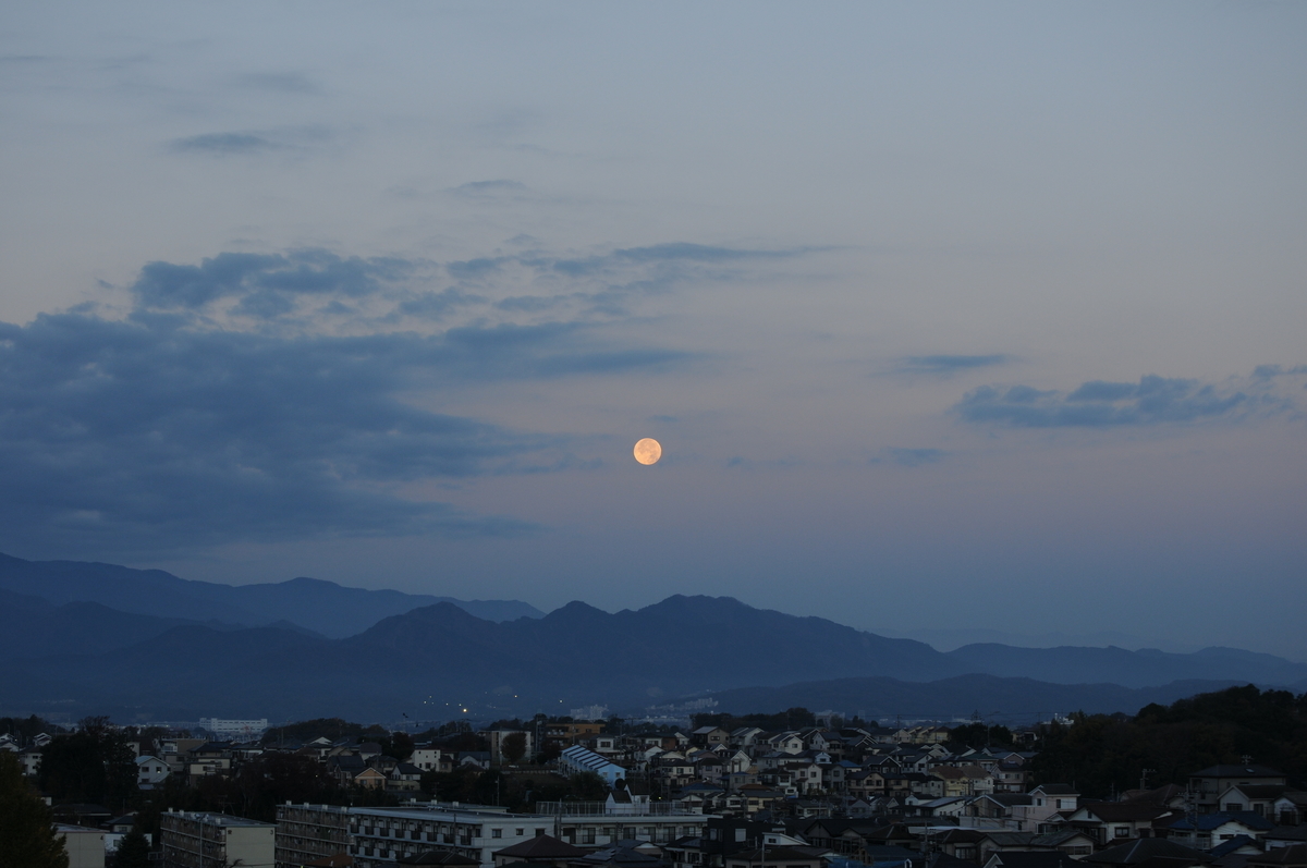 f:id:kumowasukidesuka:20201202102030j:plain