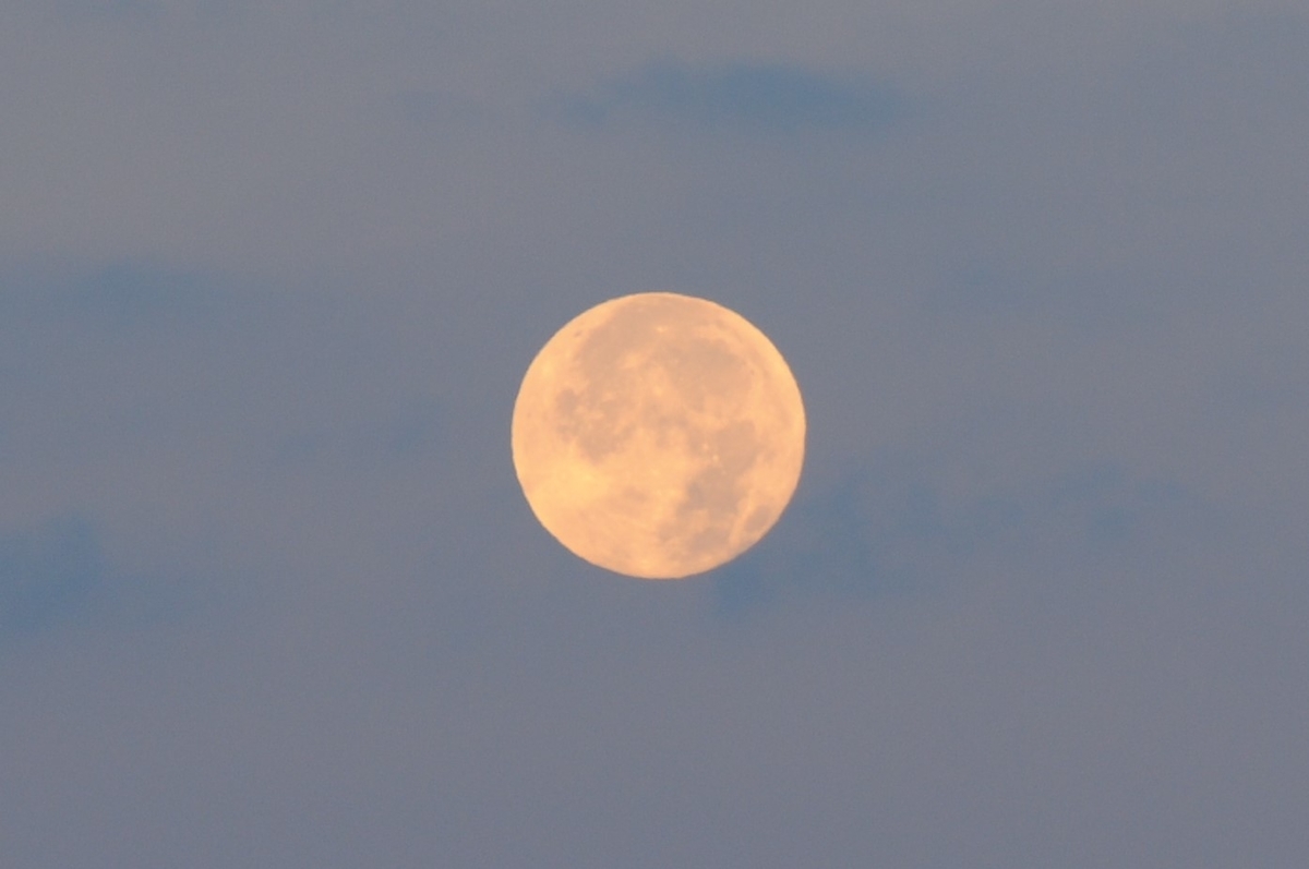 f:id:kumowasukidesuka:20201202102225j:plain