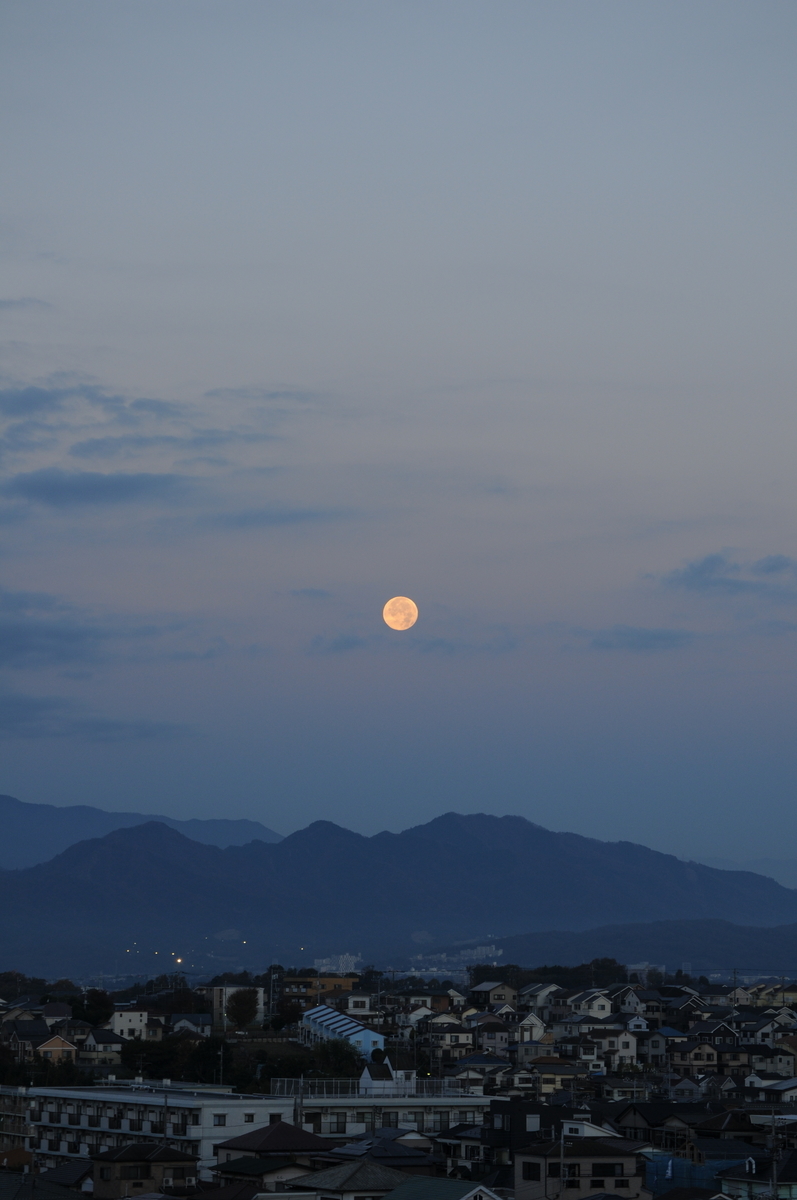 f:id:kumowasukidesuka:20201202102401j:plain