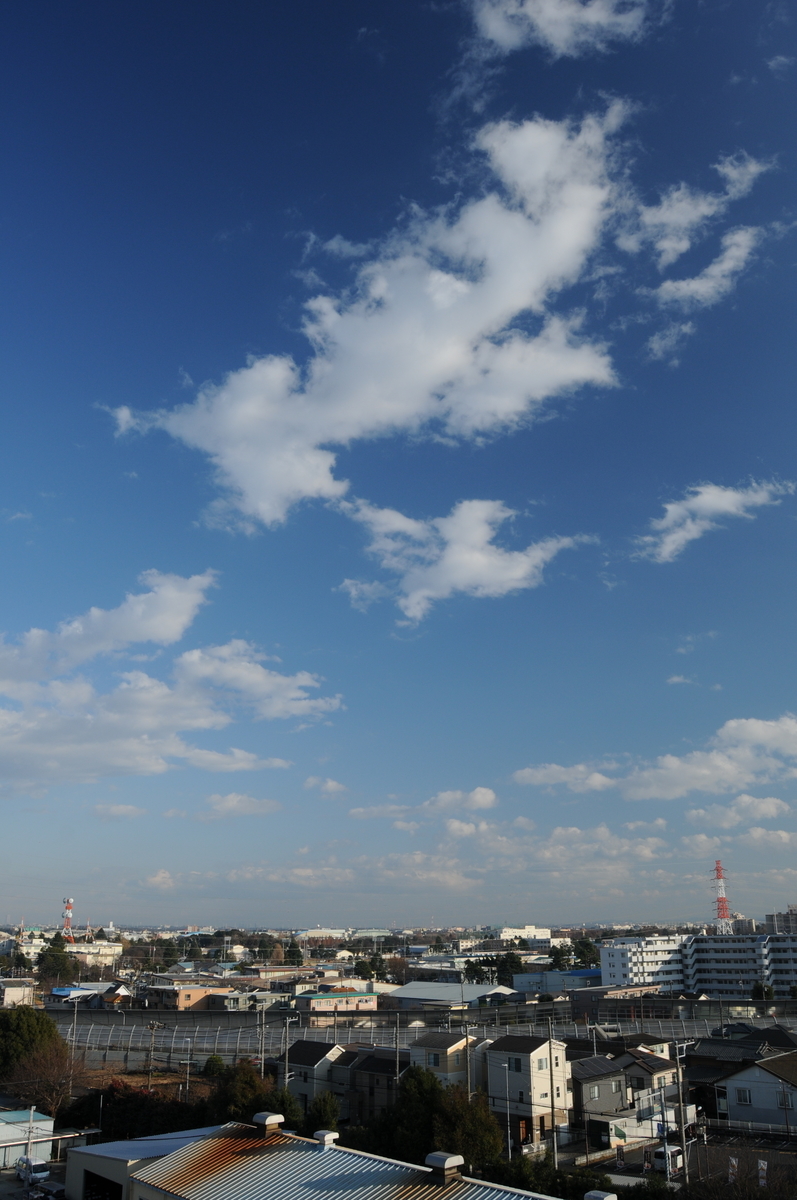 f:id:kumowasukidesuka:20210203191306j:plain