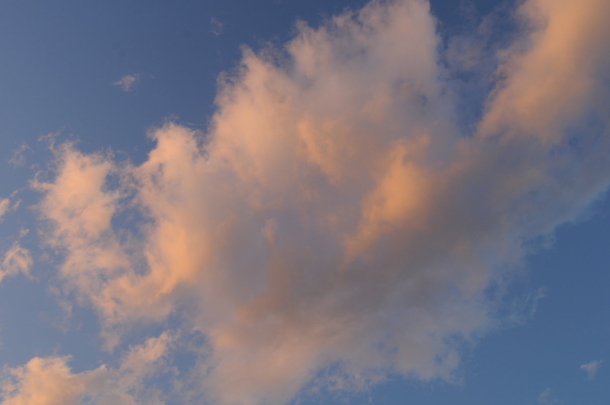 f:id:kumowasukidesuka:20210203200009j:plain