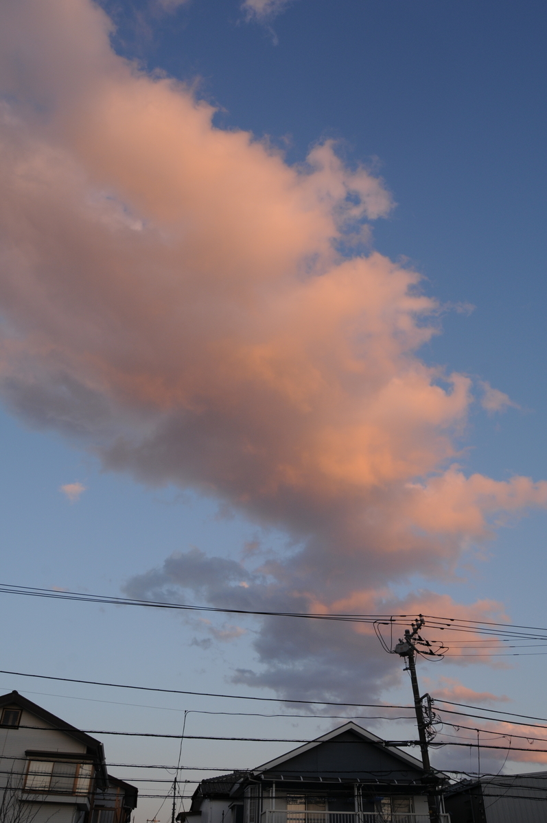 f:id:kumowasukidesuka:20210203200201j:plain