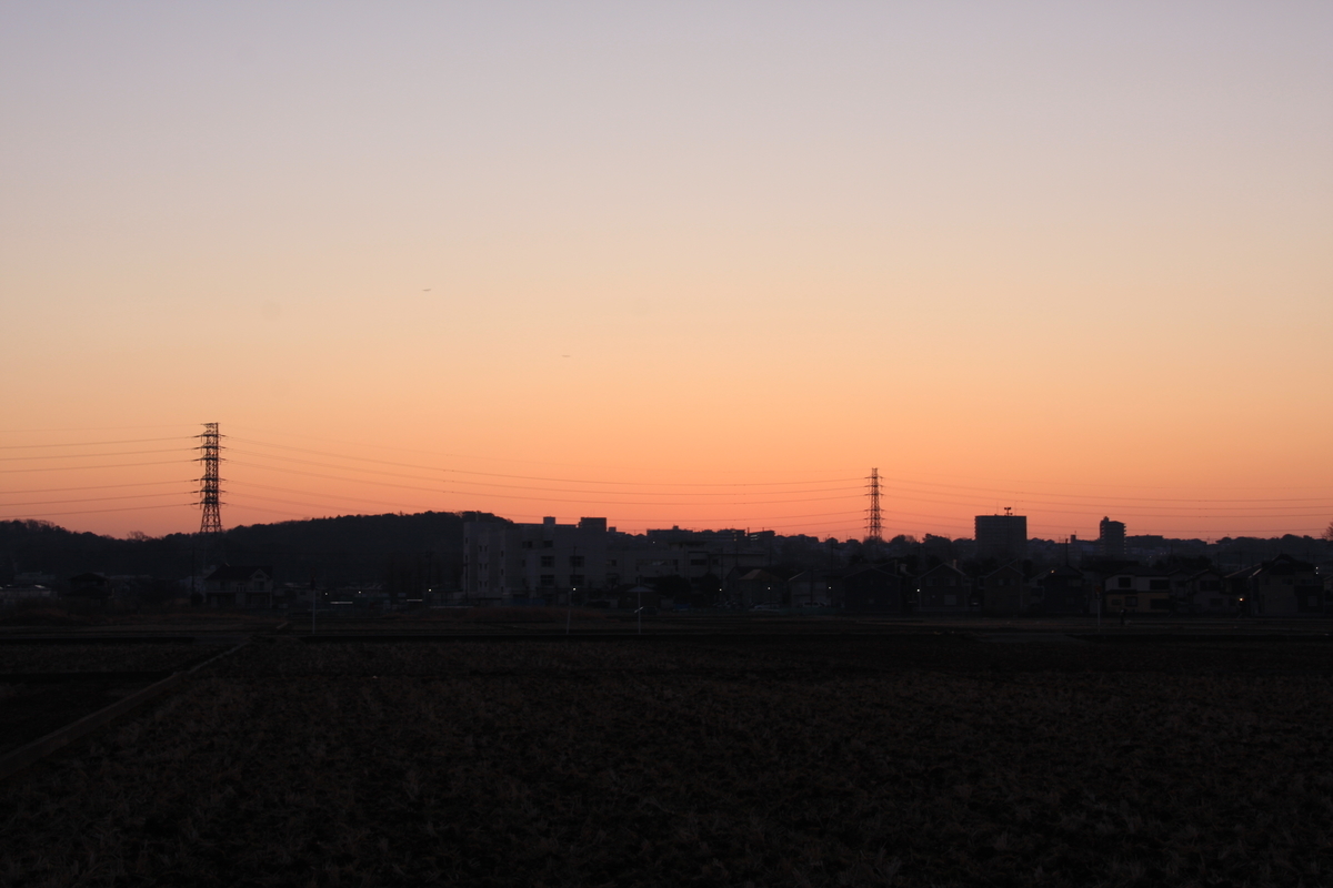 f:id:kumowasukidesuka:20210319210300j:plain