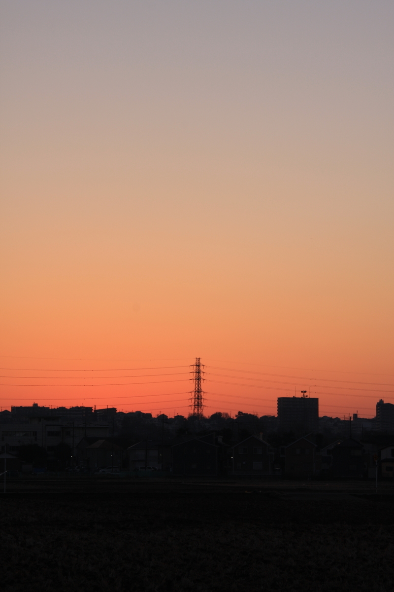 f:id:kumowasukidesuka:20210319210404j:plain
