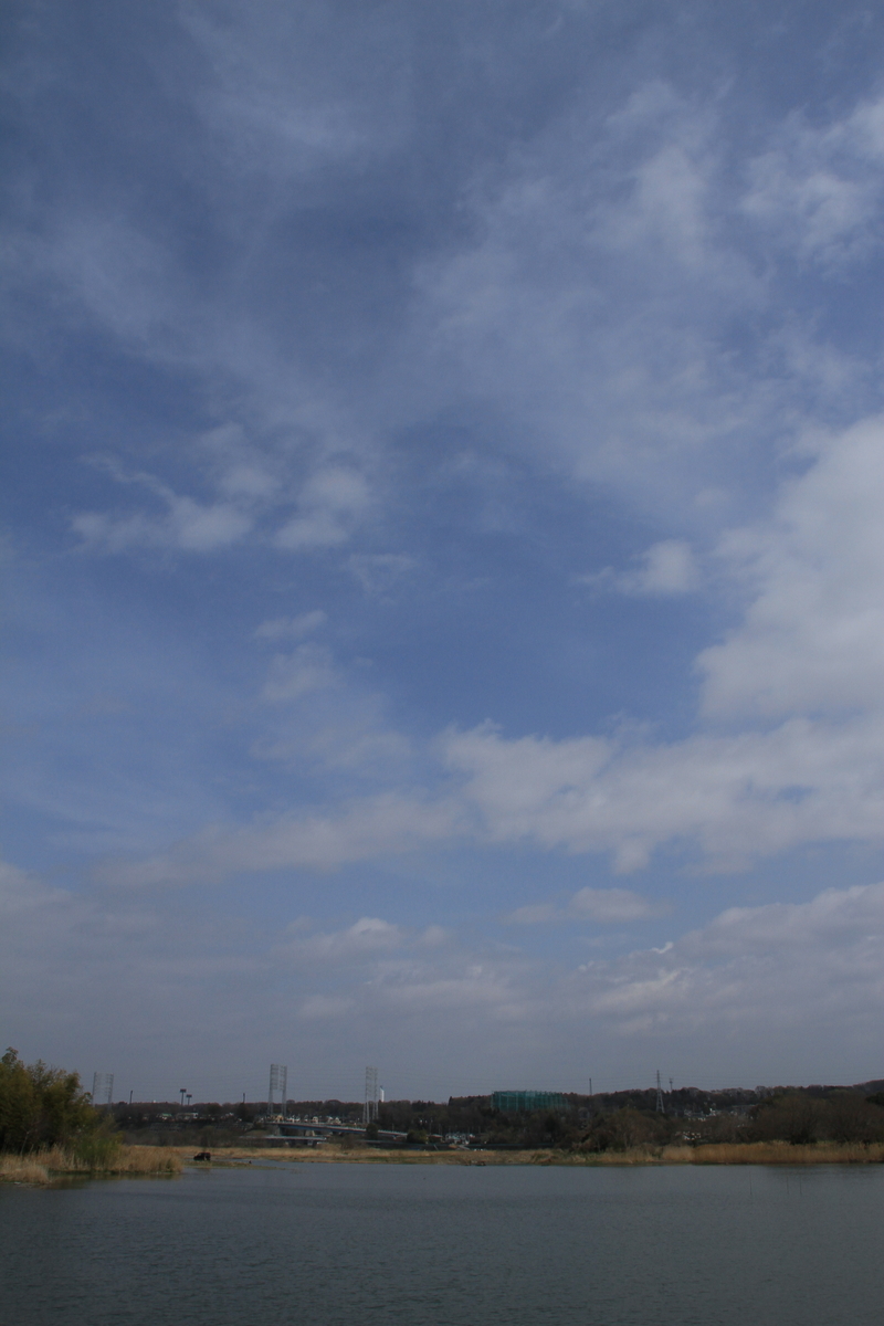 f:id:kumowasukidesuka:20210321165619j:plain