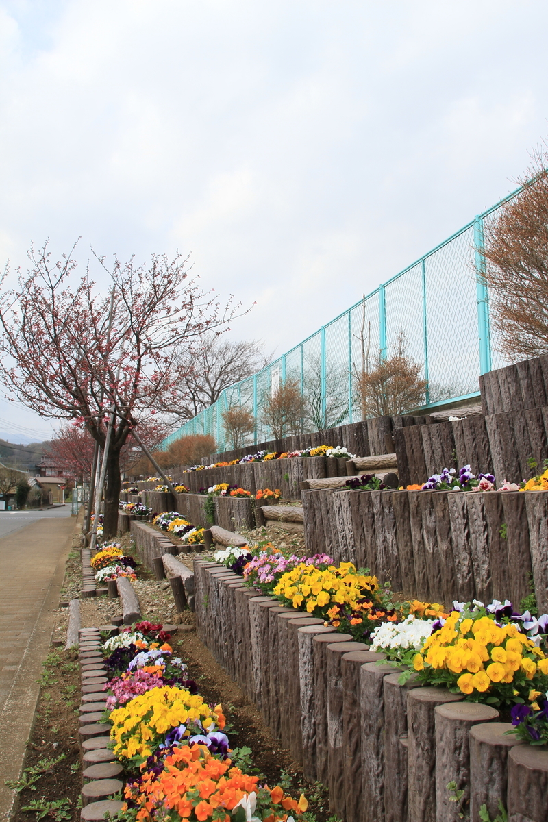 f:id:kumowasukidesuka:20210321170143j:plain