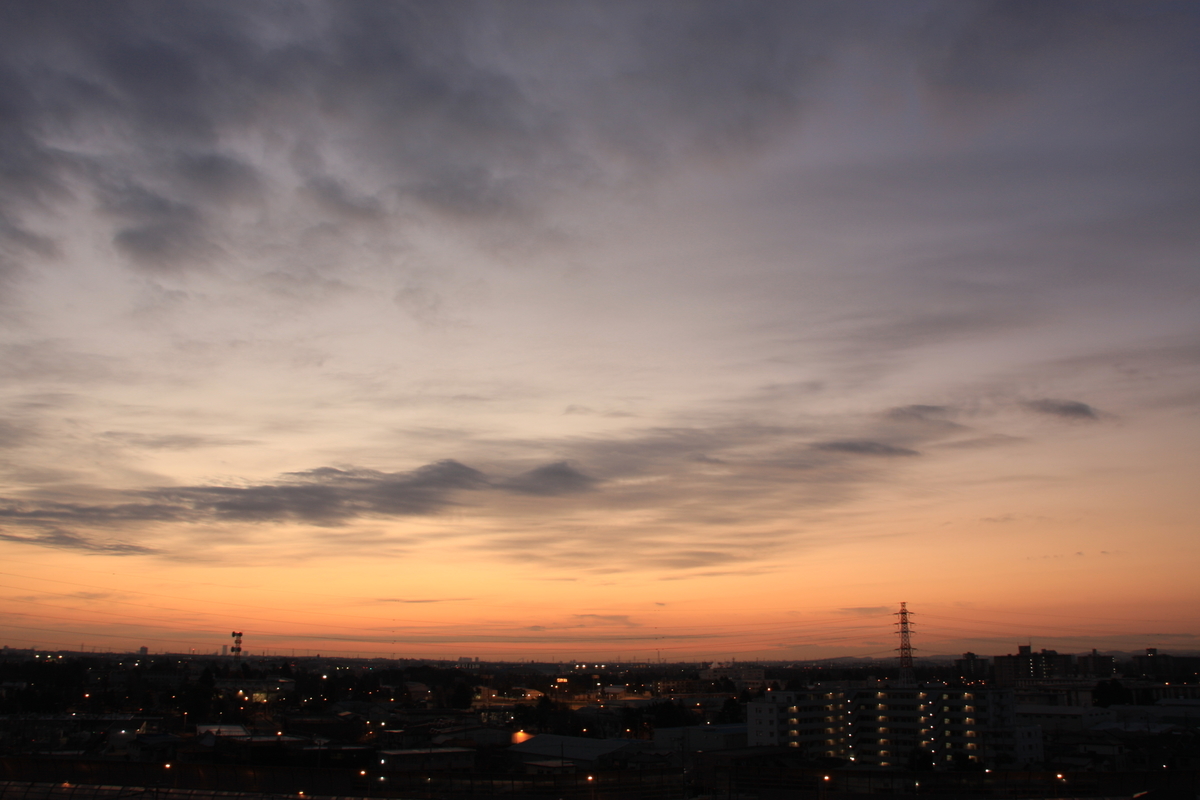 f:id:kumowasukidesuka:20210406211802j:plain