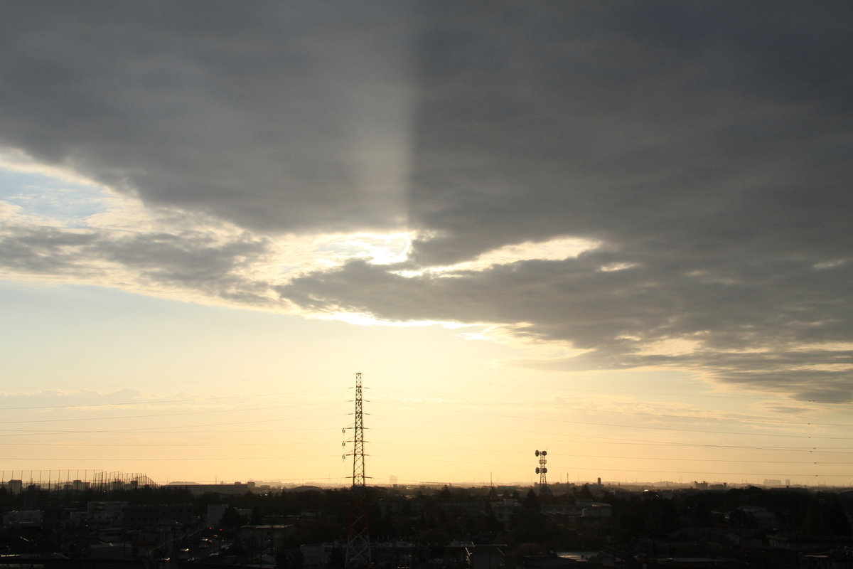 f:id:kumowasukidesuka:20210511222708j:plain