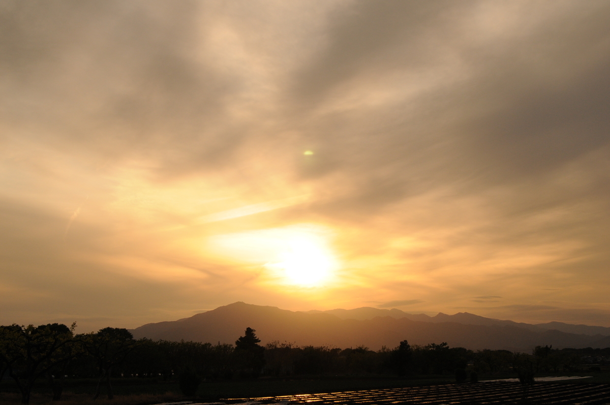 f:id:kumowasukidesuka:20210526203818j:plain