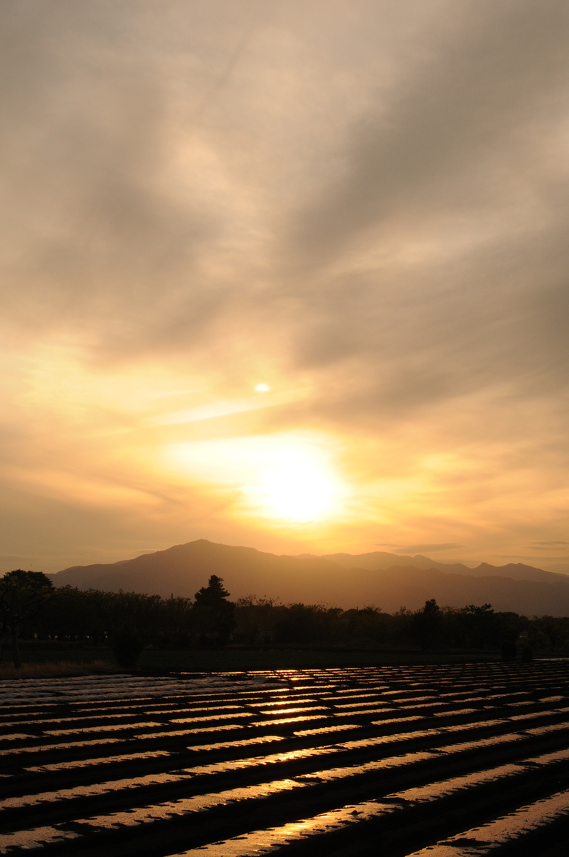 f:id:kumowasukidesuka:20210526203912j:plain